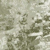 Fading Forest