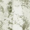 Fading Forest