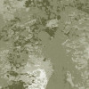 Fading Forest