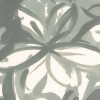 Painted Palms