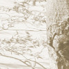 Bleached Birch