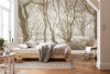 Bleached Birch