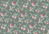Embellish