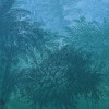 Deep in the Jungle