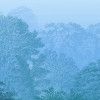 Deep in the Jungle