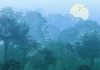 Deep in the Jungle