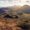 Coloured Earth