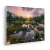 Gloomy Swamps