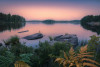 Swedish Blues