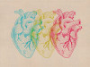 Heart Variants