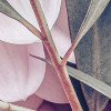 Zestful