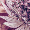 Zestful