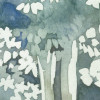 Forêt Enchantée