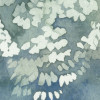 Forêt Enchantée