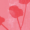 Bonbons aux Fruits