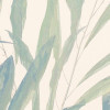 Bamboo Paradise
