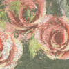 Wall Roses