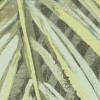 Palm Fronds