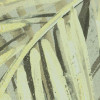 Palm Fronds