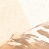 Dune Grass