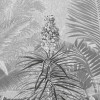 Amazonia Black and White