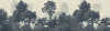Unfading Trees