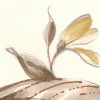 Vintage Chrysanthemum