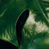 Tropical Wall