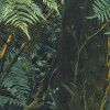 Jungle Lands