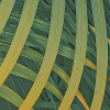 Neon Fern