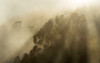 Foggy Sunshine