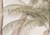 Palm Oasis