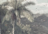 The Exotic Land