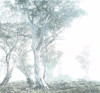 Magic Trees