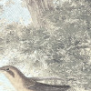 Creation