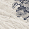 Botanical Papers