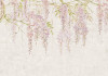 Wisteria