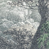 Fairytale Forest