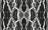 Oak Bark black-white