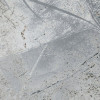 Flower Fossil