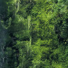 Glenevin Falls