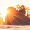 Island Dreaming