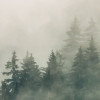 Tales of the Carpathians