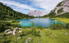 Paradise Lake