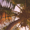 Reaching the Sun
