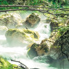 Tranquil Pool