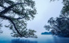 Blue Waters