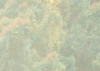Madagascar Jungle