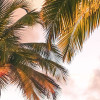 Vertical Paradise
