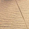 Vivid Dunes